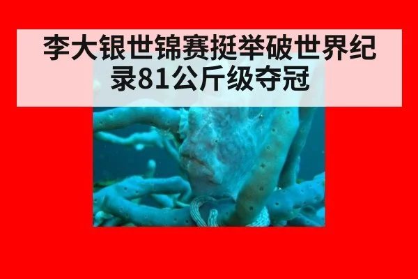 李大银世锦赛挺举破世界纪录81公斤级夺冠